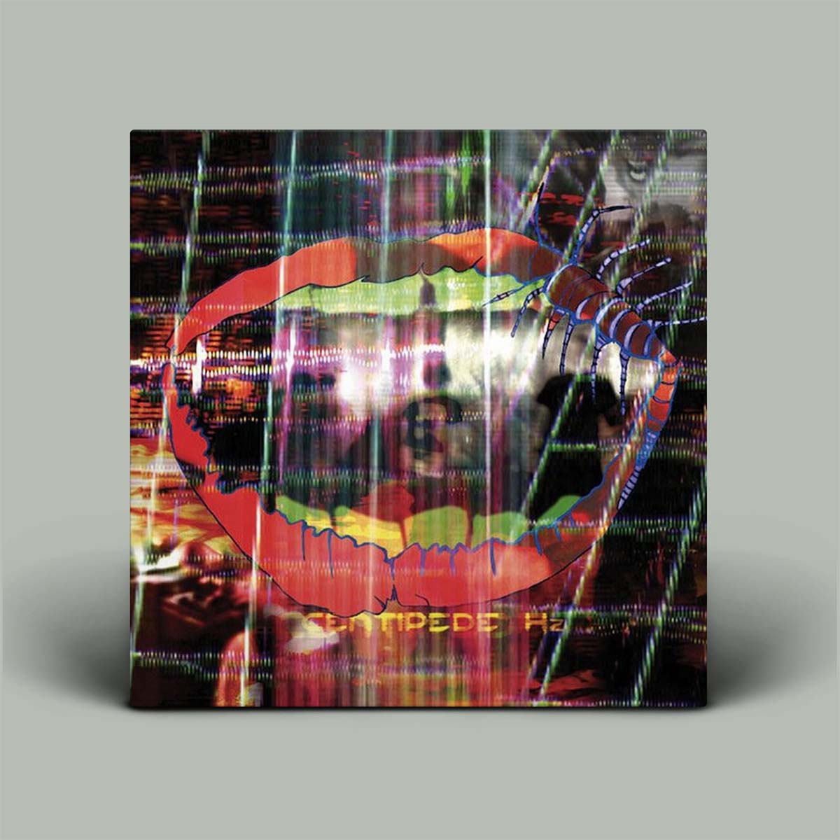 Animal Collective - Centipede Hz | Vinyl 2LP