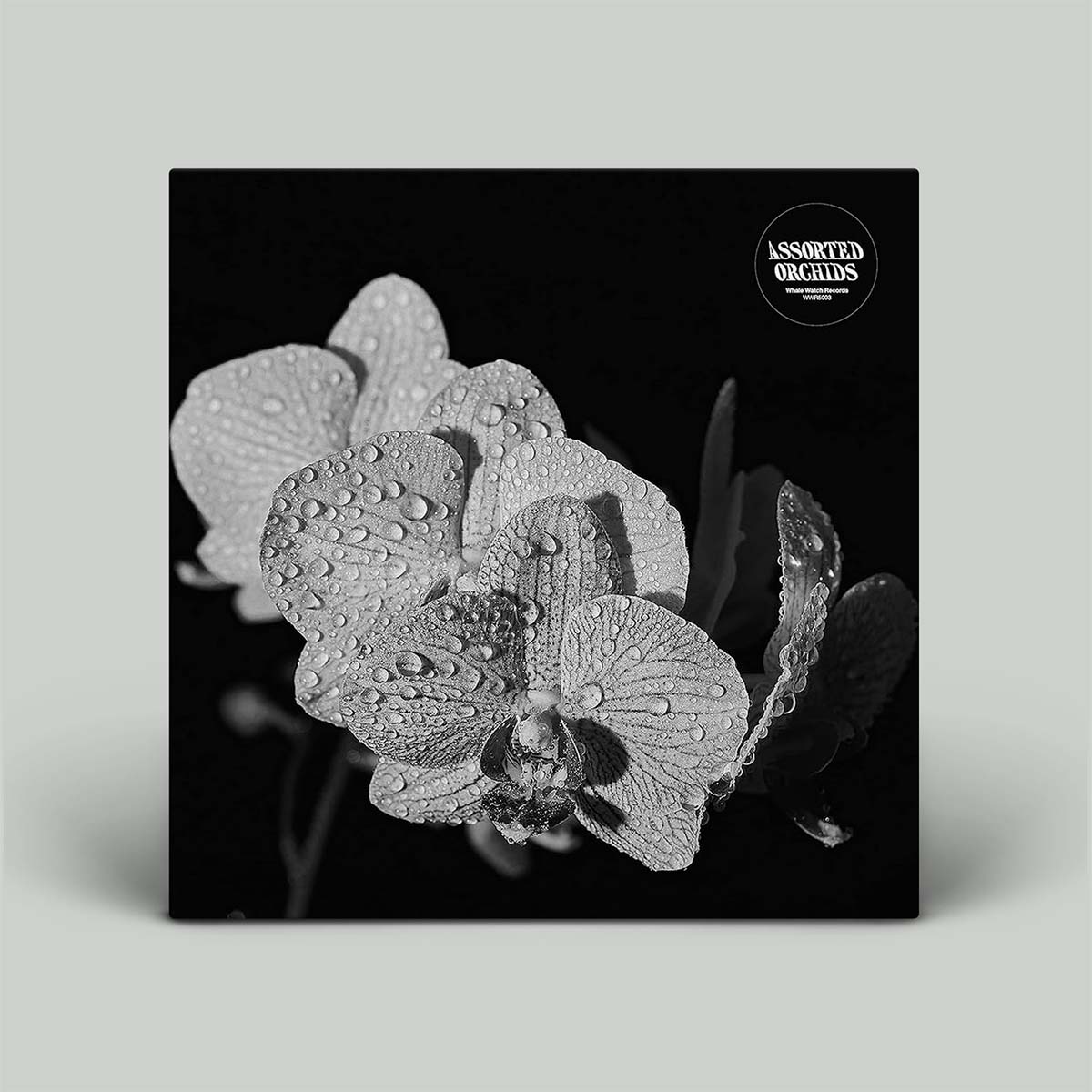 Assorted Orchids - Assorted Orchids | Vinyl LP