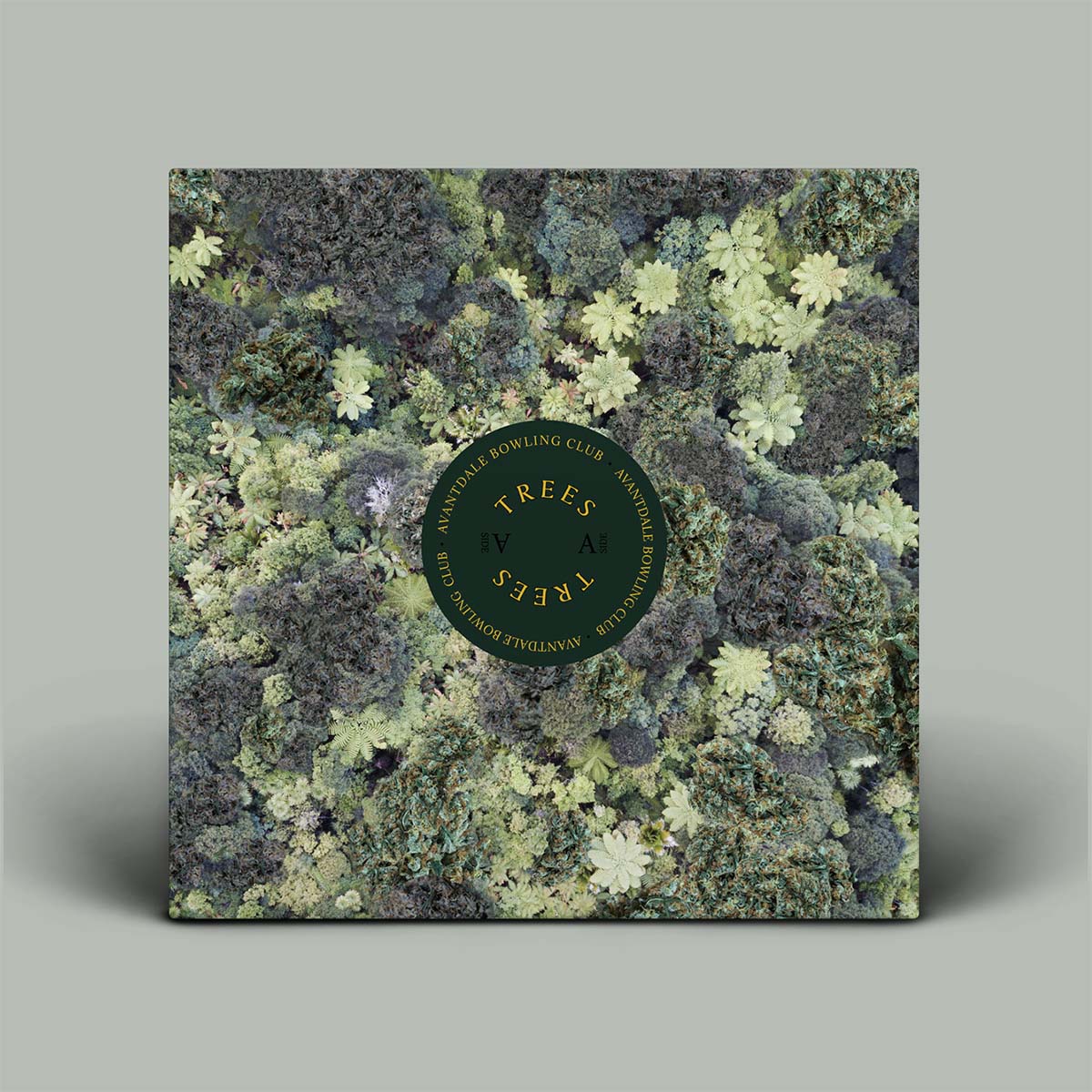 Vinyl record cover with an aerial shot of dense forest
