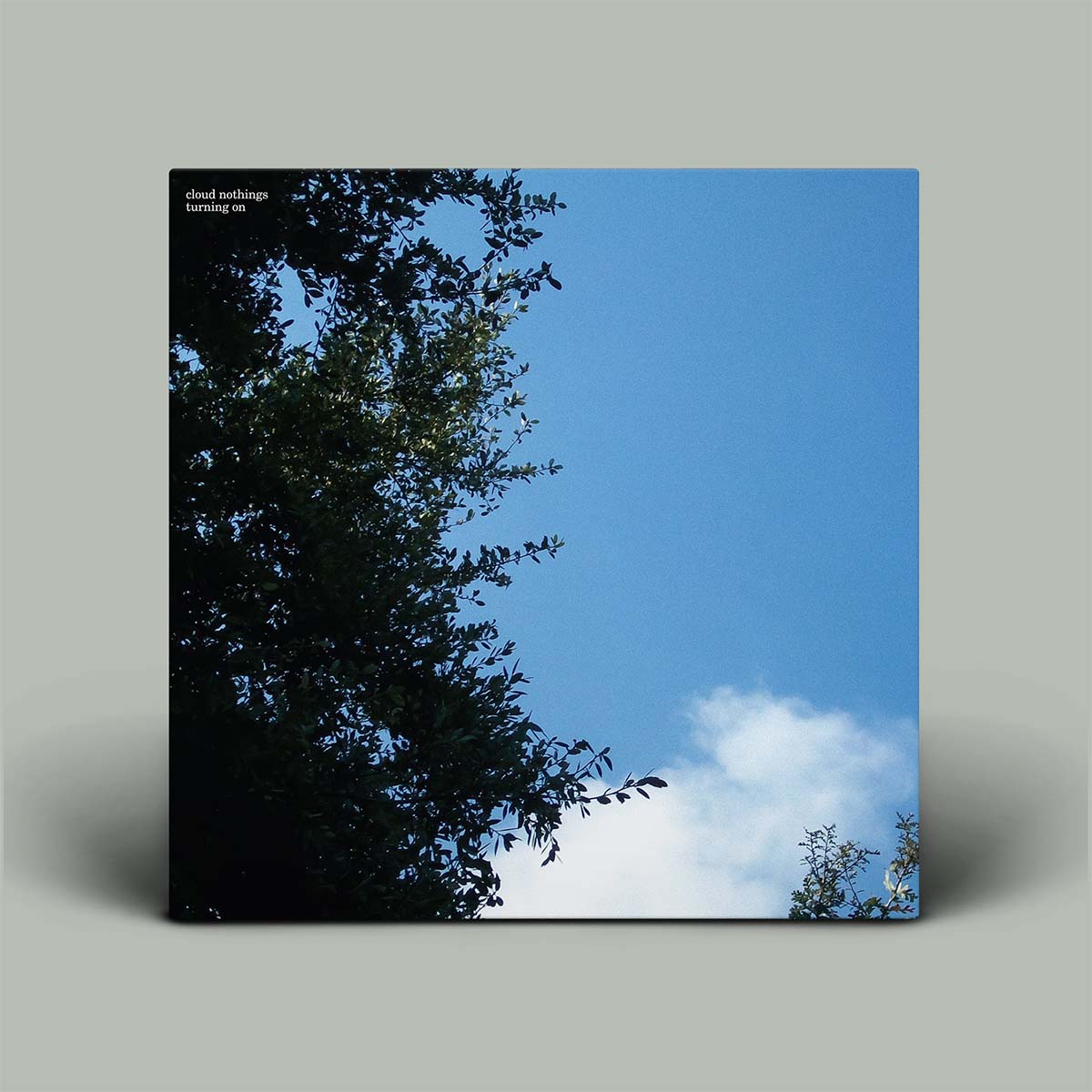 Album cover with tree silhouette against a blue sky