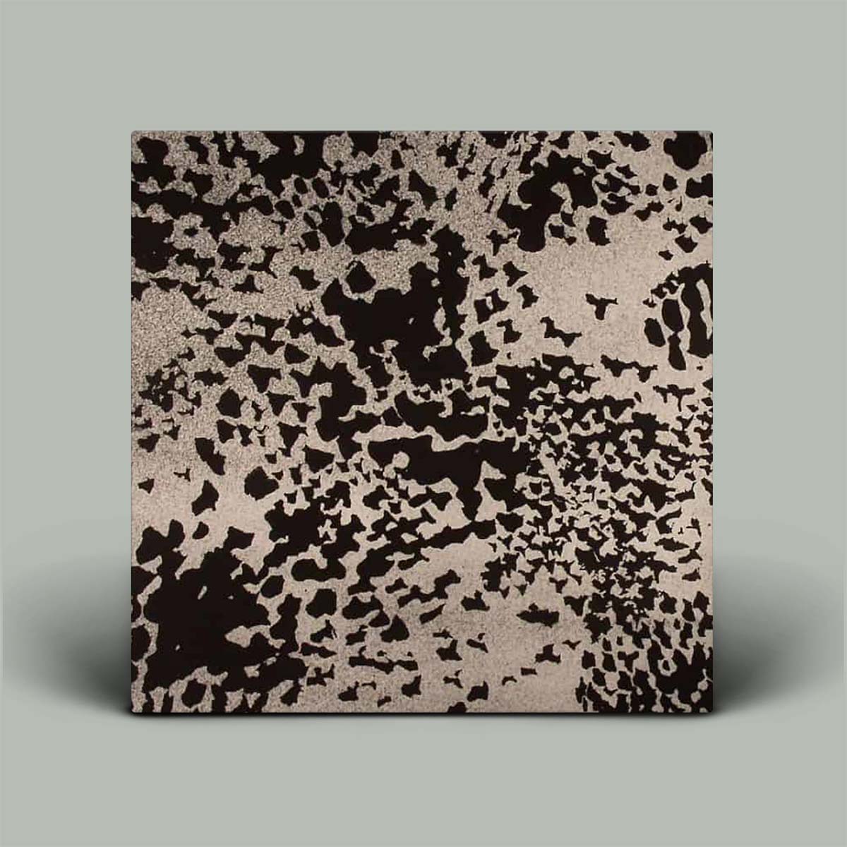 Album cover with black and white abstract pattern on a gray background