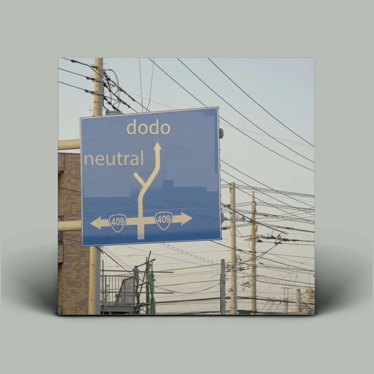 Dodo – Neutral | Vinyl LP