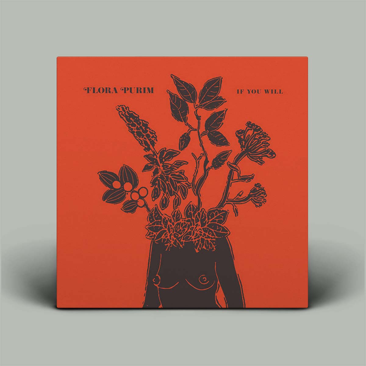 Flora Purim – If You Will | Vinyl LP