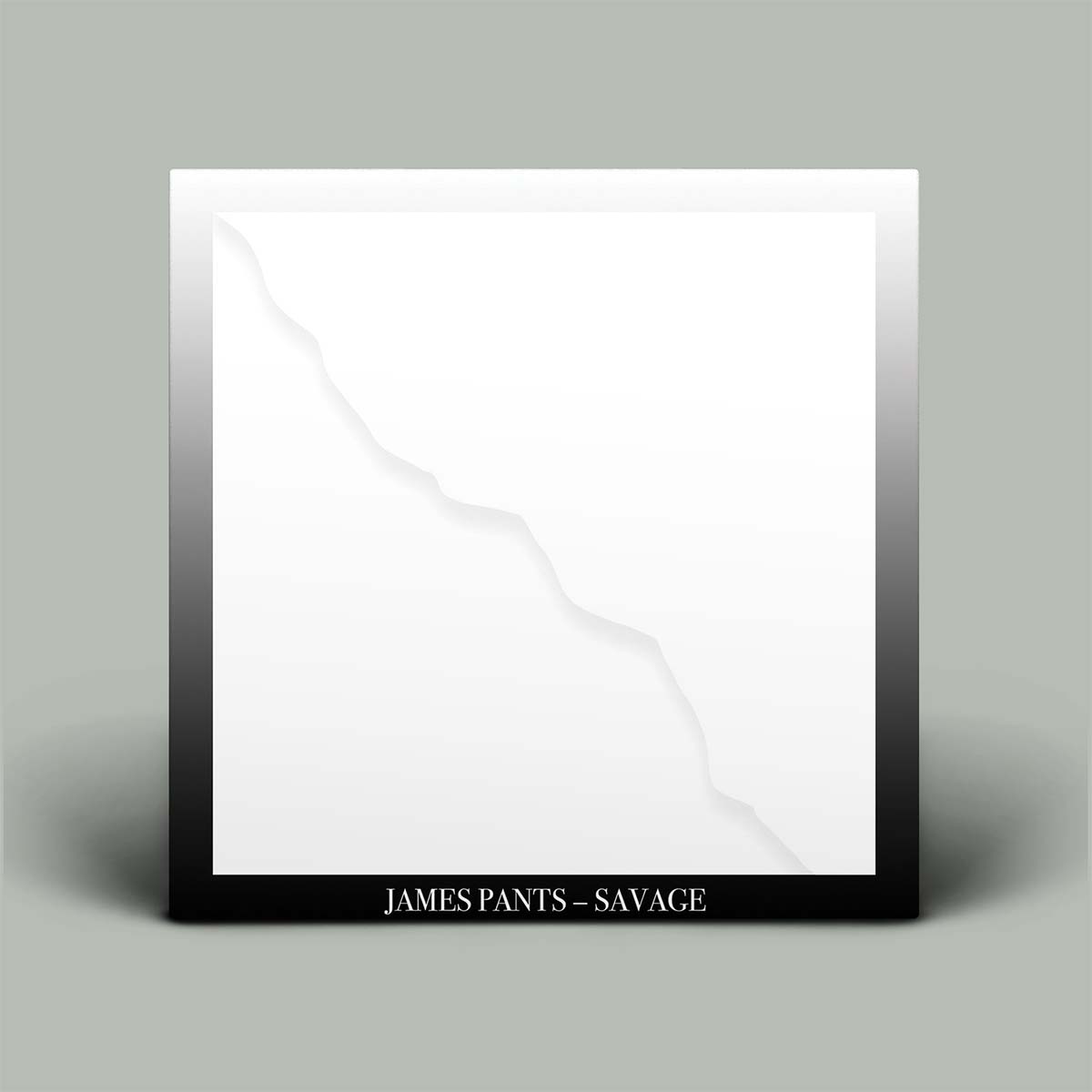 James Pants - Savage | Vinyl LP