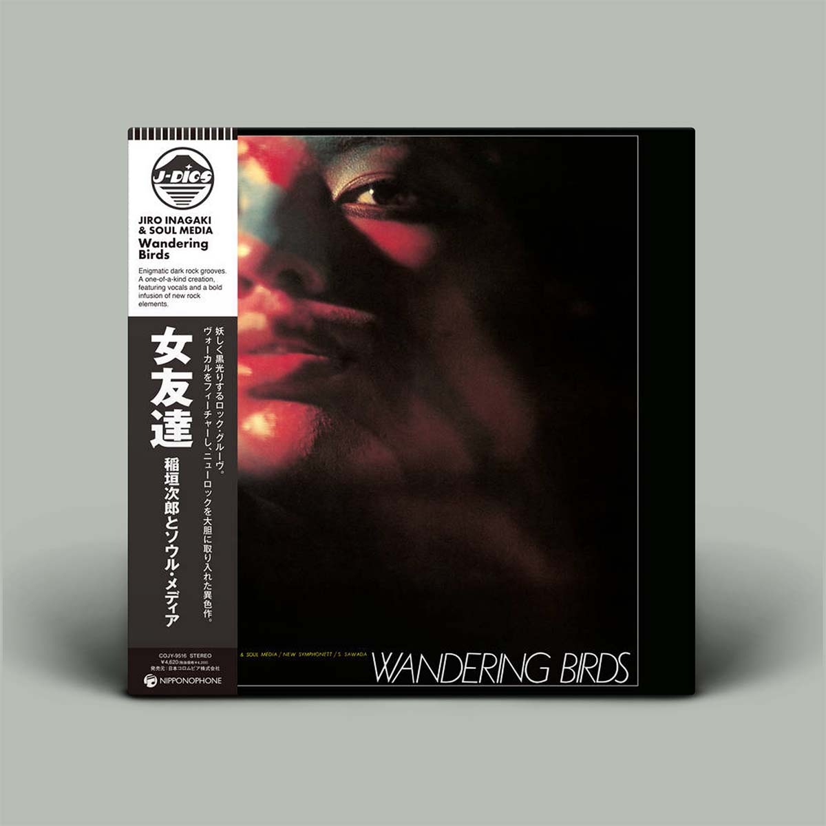 Album cover with a stylized face and text on a gray background