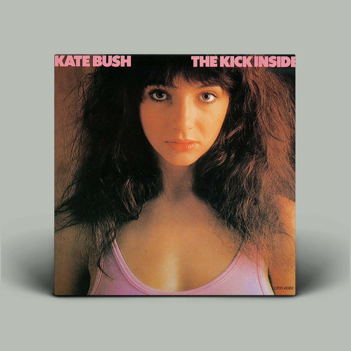 Vinyl album cover of 'The Kick Inside' by Kate Bush with a portrait of the artist on a gray background.