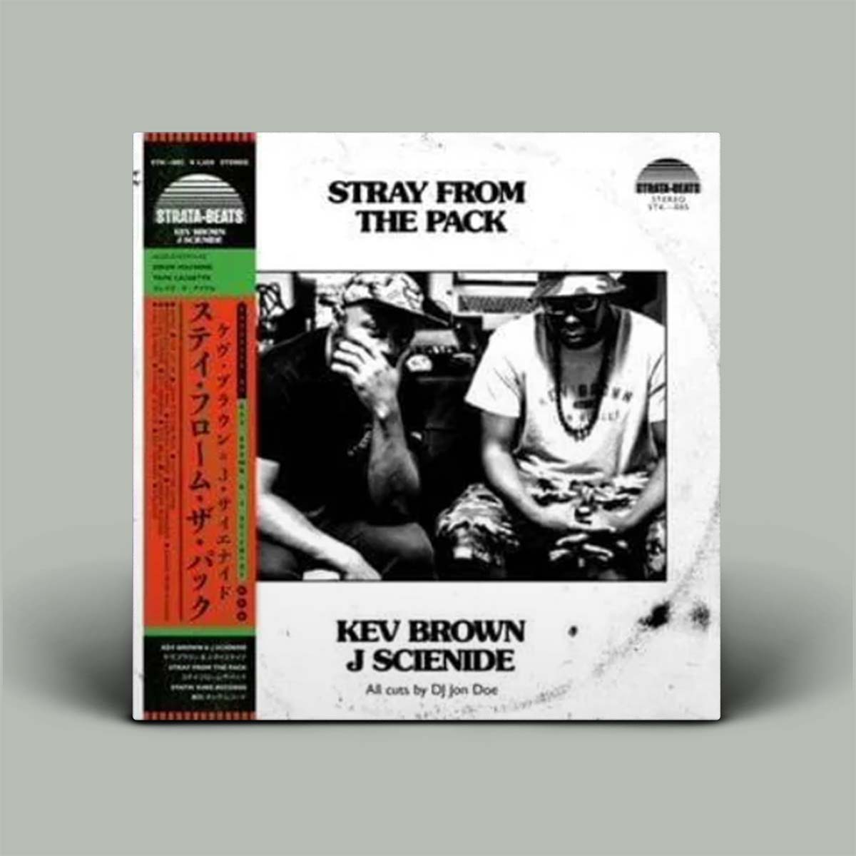 Vinyl record cover for 'Stray from the Pack' featuring two individuals and text on a gray background.