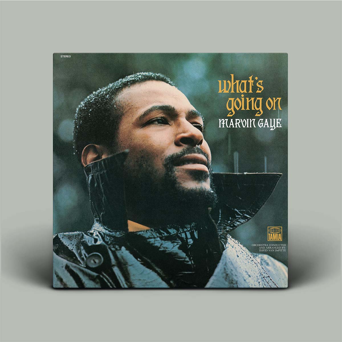 Marvin Gaye - What's Going On | Vinyl LP