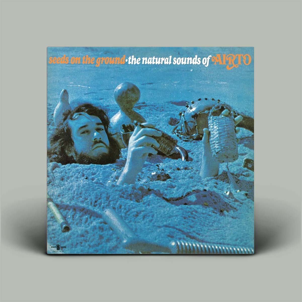 Seeds On The Ground - The Natural Sounds Of Airto