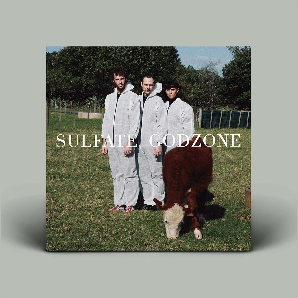 Sulfate - Godzone | Vinyl LP