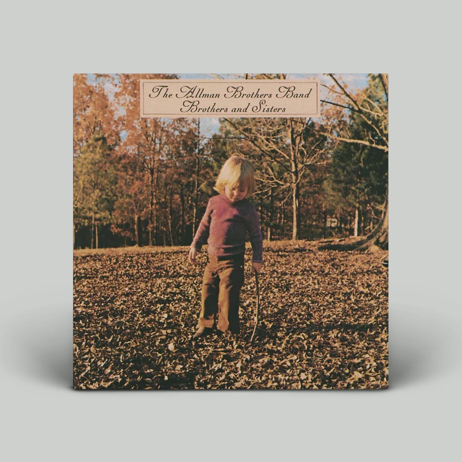 The Allman Brothers Band - Brothers And Sisters | Vinyl LP