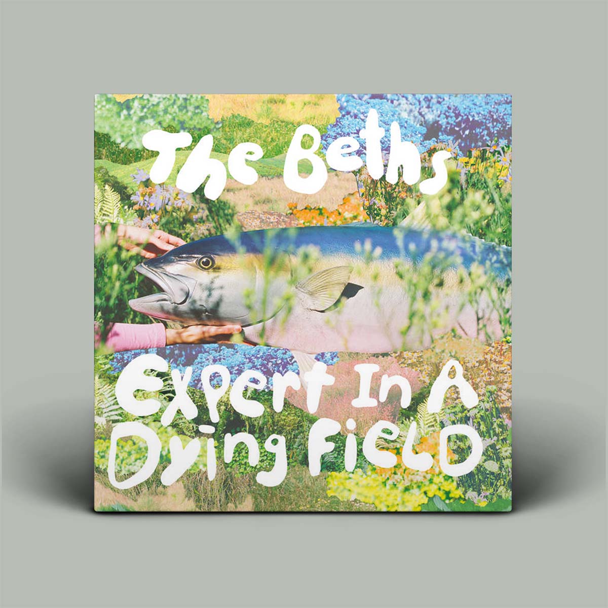 Album cover with a fish and nature-themed design, featuring the text 'The Beths' and 'Expert In A Dying Field'.