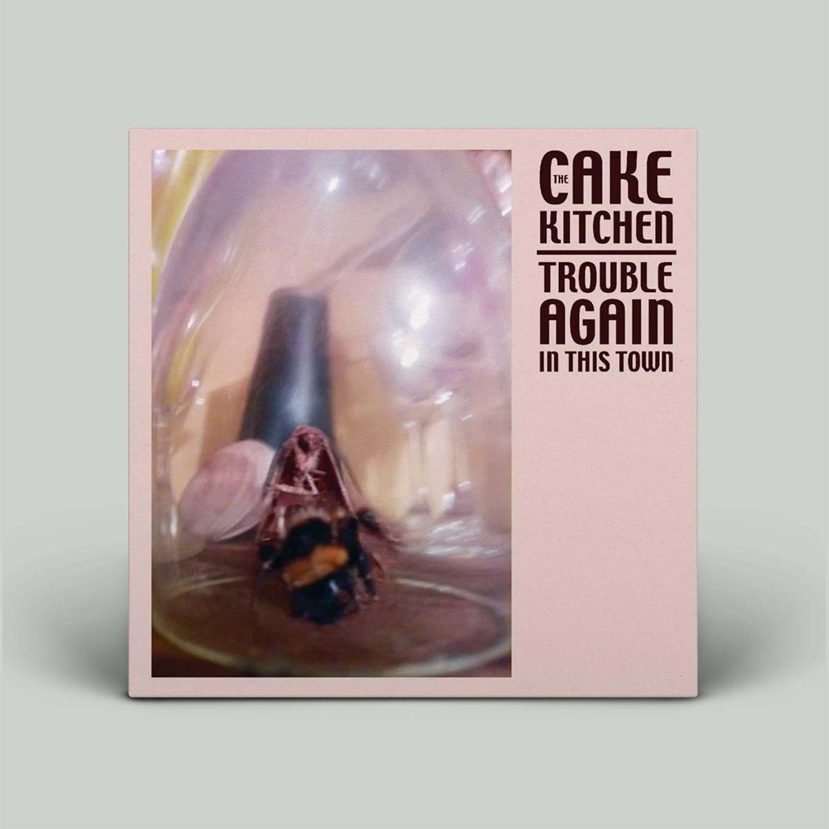 The Cakekitchen – Trouble Again In This Town | Vinyl LP