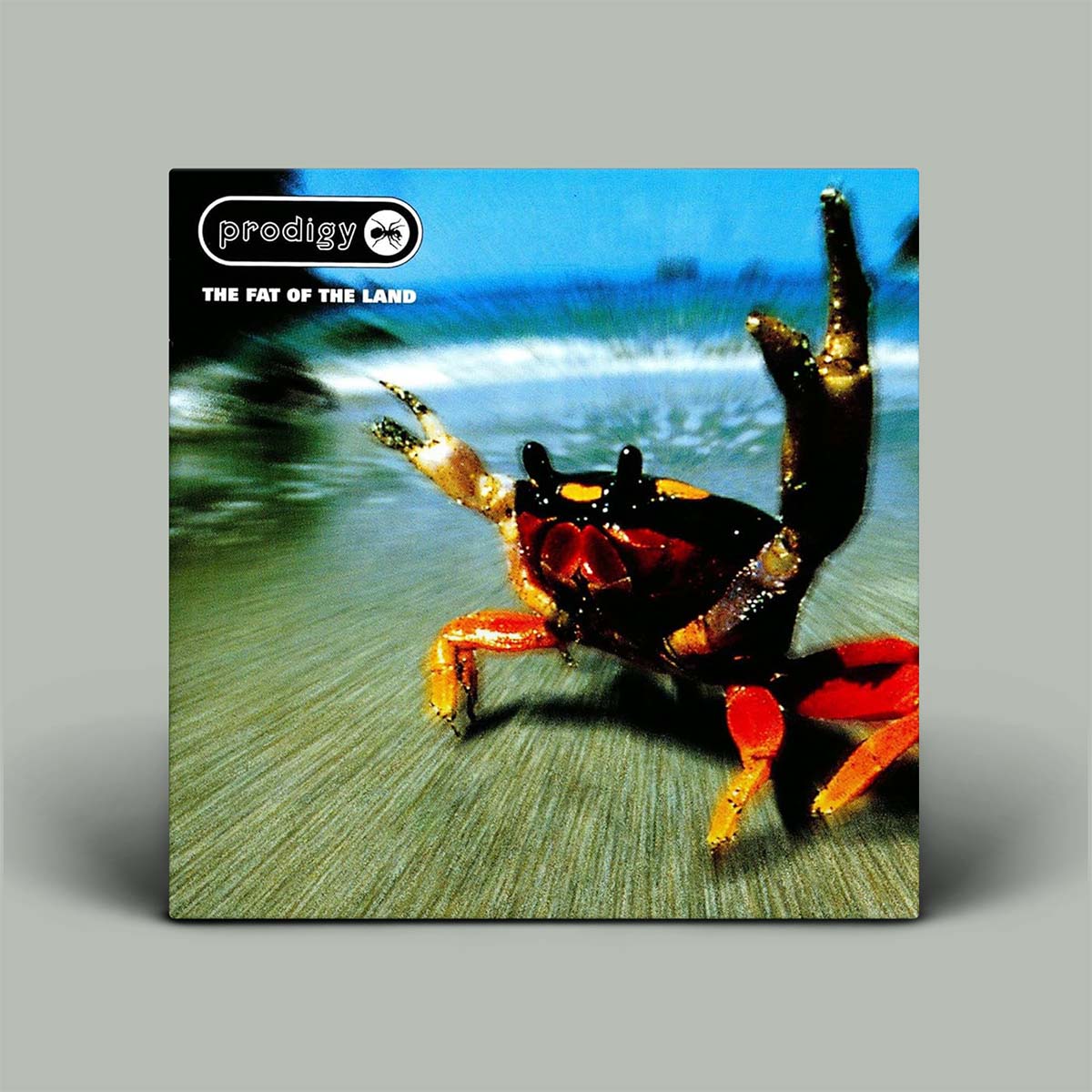 Album cover of 'The Fat of the Land' by The Prodigy with a crab on a beach.