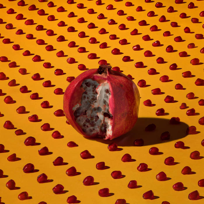 Plastic - New Hands | Vinyl LP | Oh! Jean Records