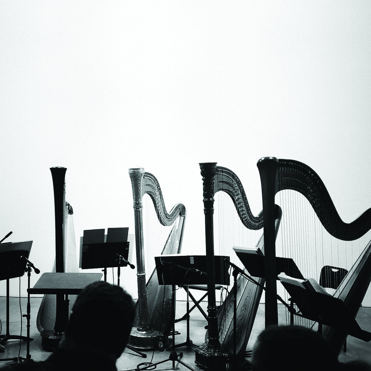 Behavior - Spirits & Embellishments