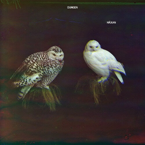 Dungen - Haxan | Vinyl LP 