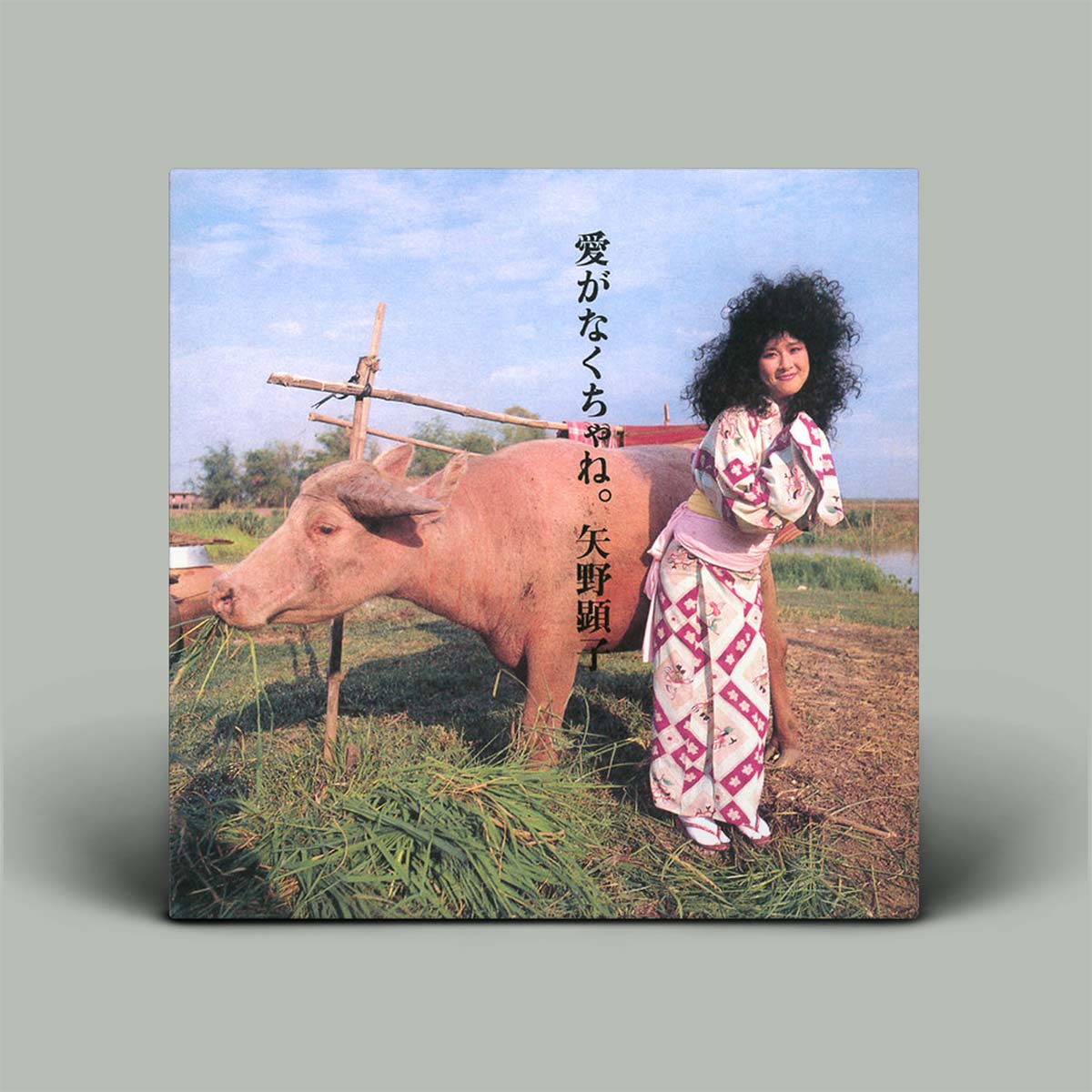 Album cover with a person and cow in an outdoor setting, featuring Japanese text.