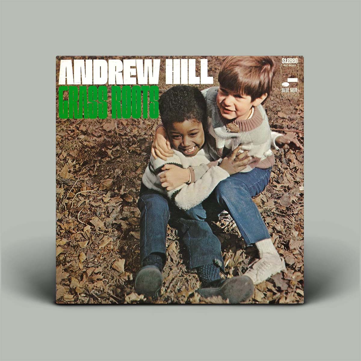 Vinyl record cover with two children hugging on a leaf-covered ground, featuring the text 'Andrew Hill' at the top.