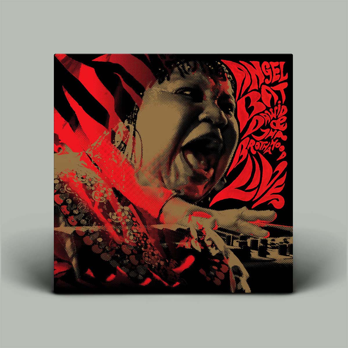 Album cover with a stylized bear and text on a gray background