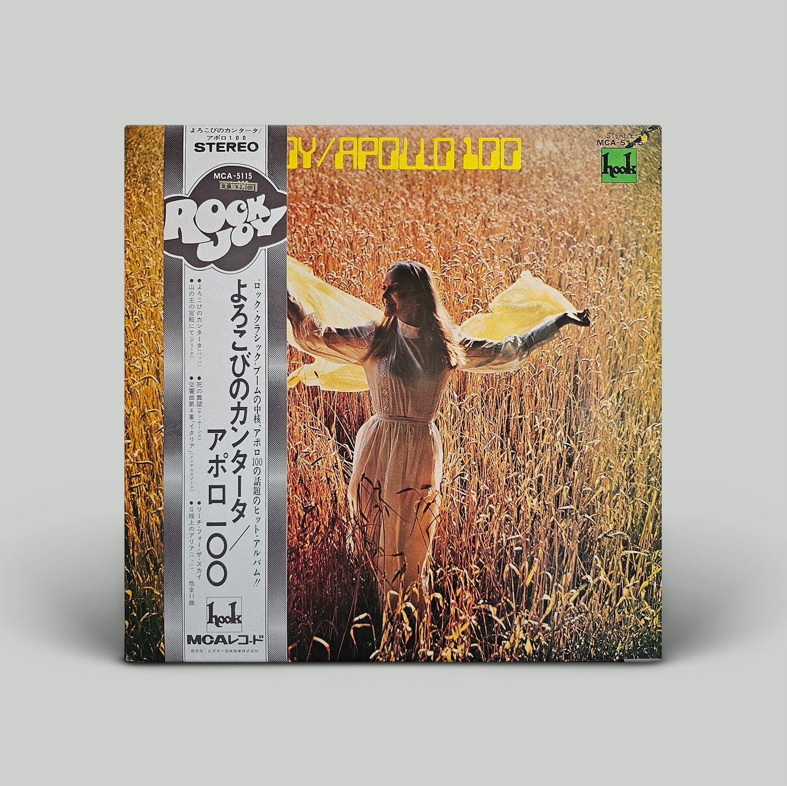 Vinyl record cover with a person in a field and album details