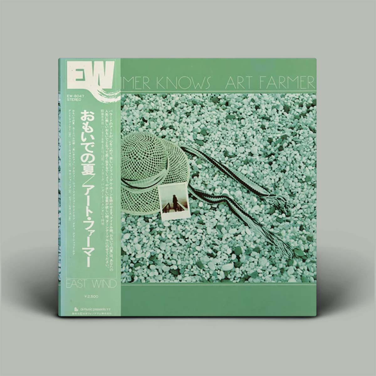 Album cover with microphone and rabbit illustration on a textured green surface