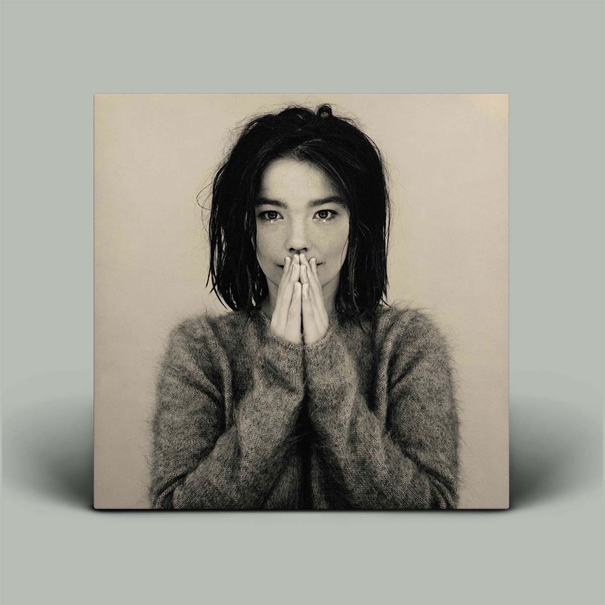 Björk - Debut | Vinyl LP