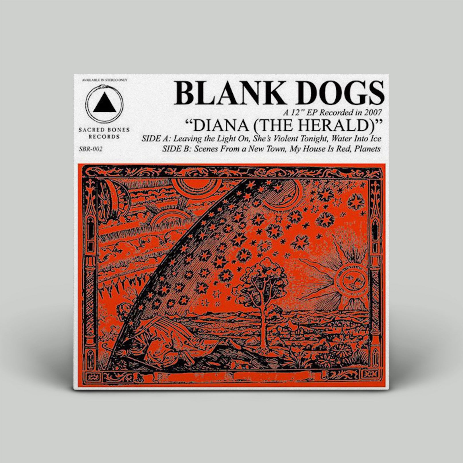 Vinyl record cover for 'Diana (The Herald)' by Blank Dogs on a gray background