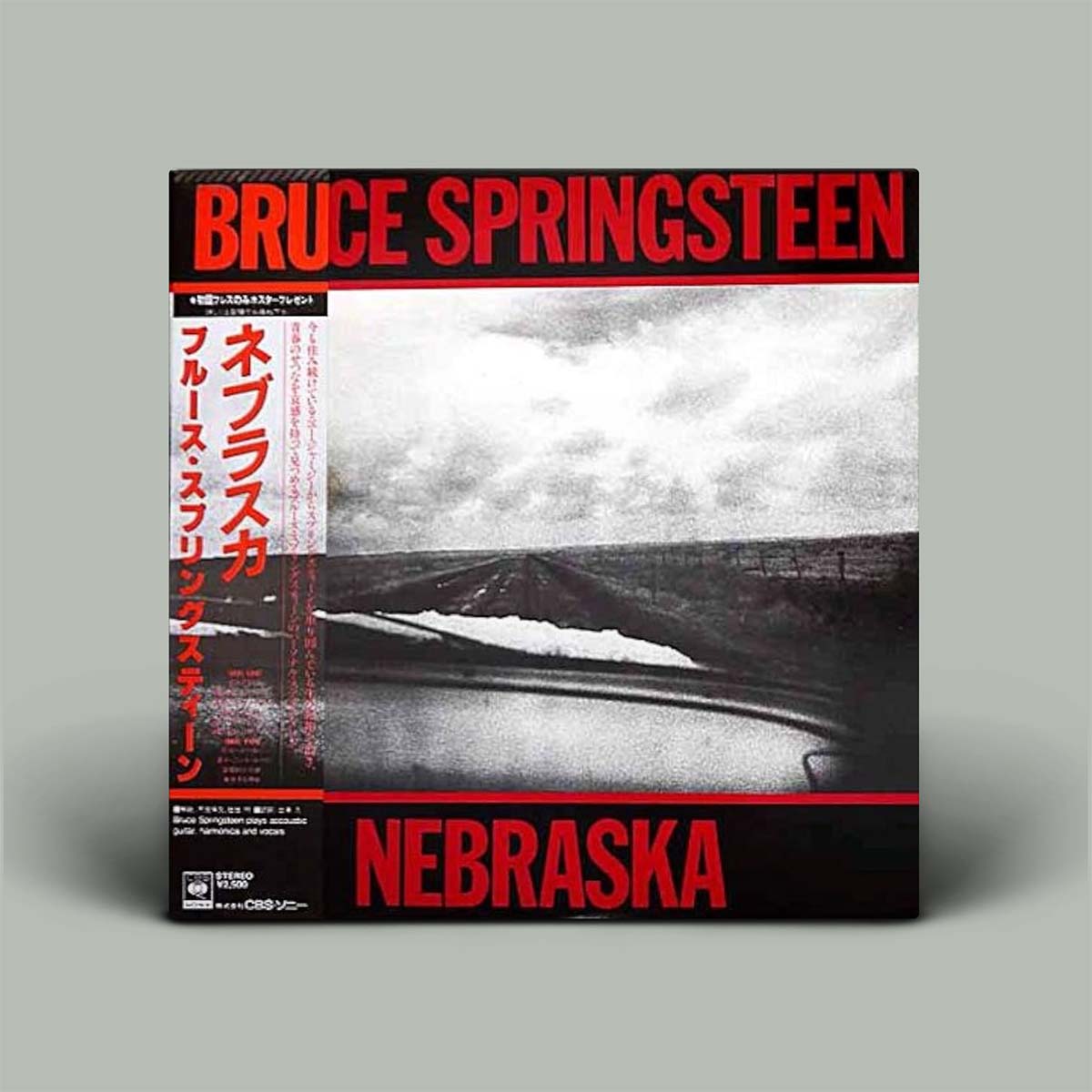 Vinyl record cover for Bruce Springsteen's 'Nebraska' with a gray background