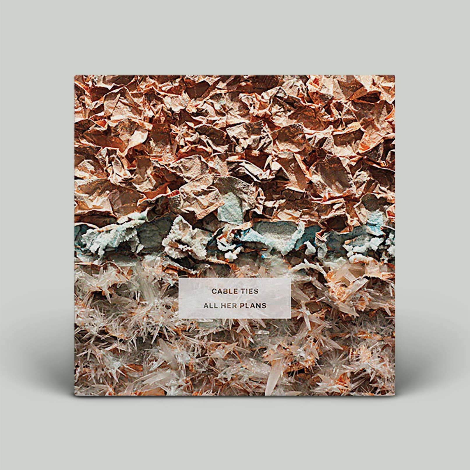 Cable Ties - All Her Plans | Vinyl LP