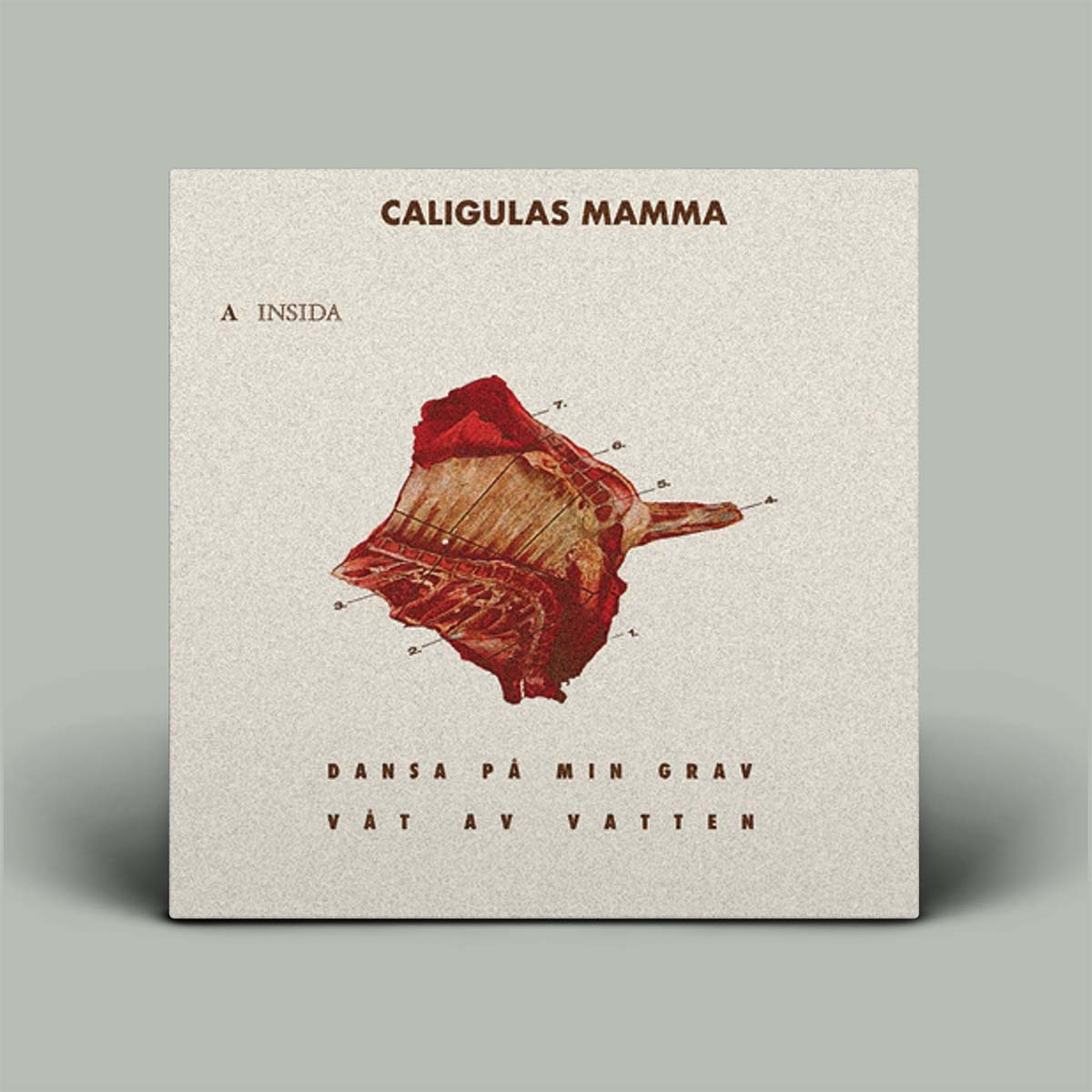 Album cover featuring image in the middle of the grey background