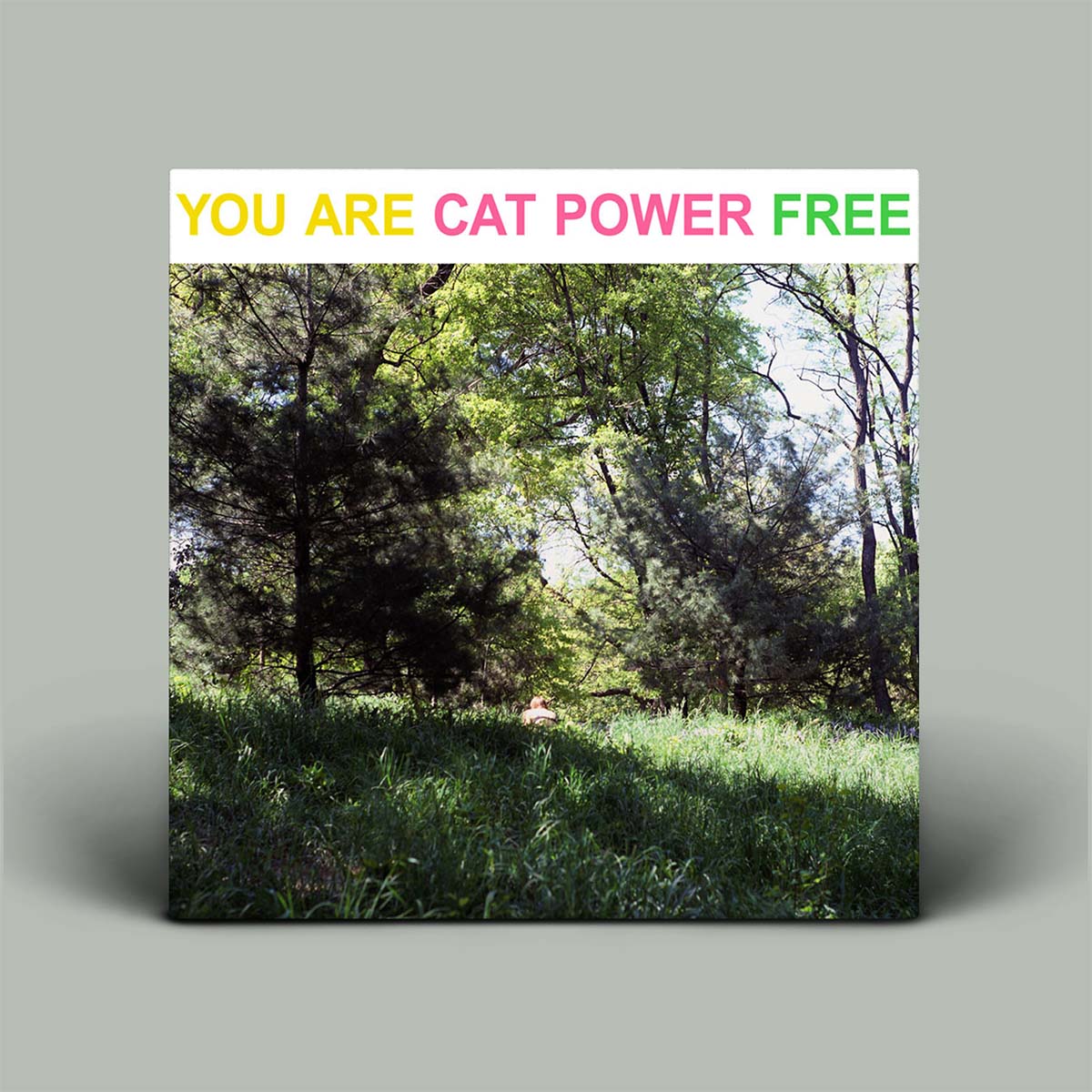 Album cover with forest scene and text 'YOU ARE CAT POWER FREE' on a gray background