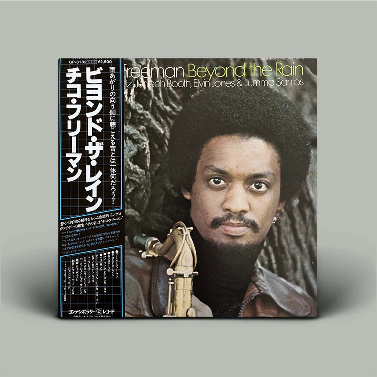 Chico Freeman – Beyond The Rain | Vinyl LP