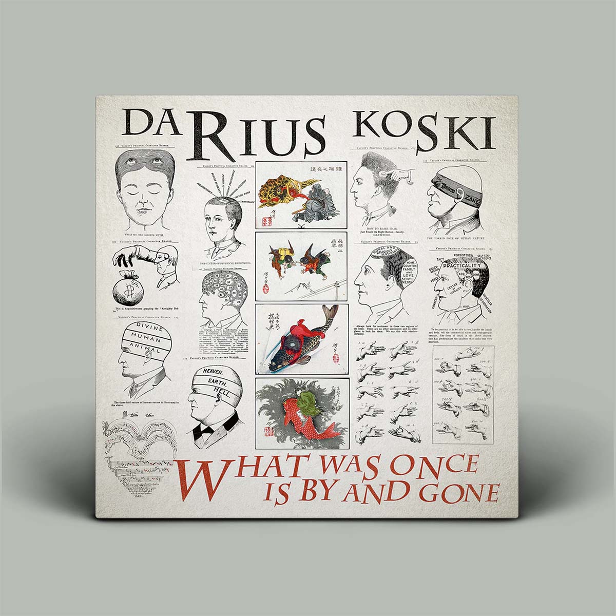 Book cover with illustrations and text on a gray background