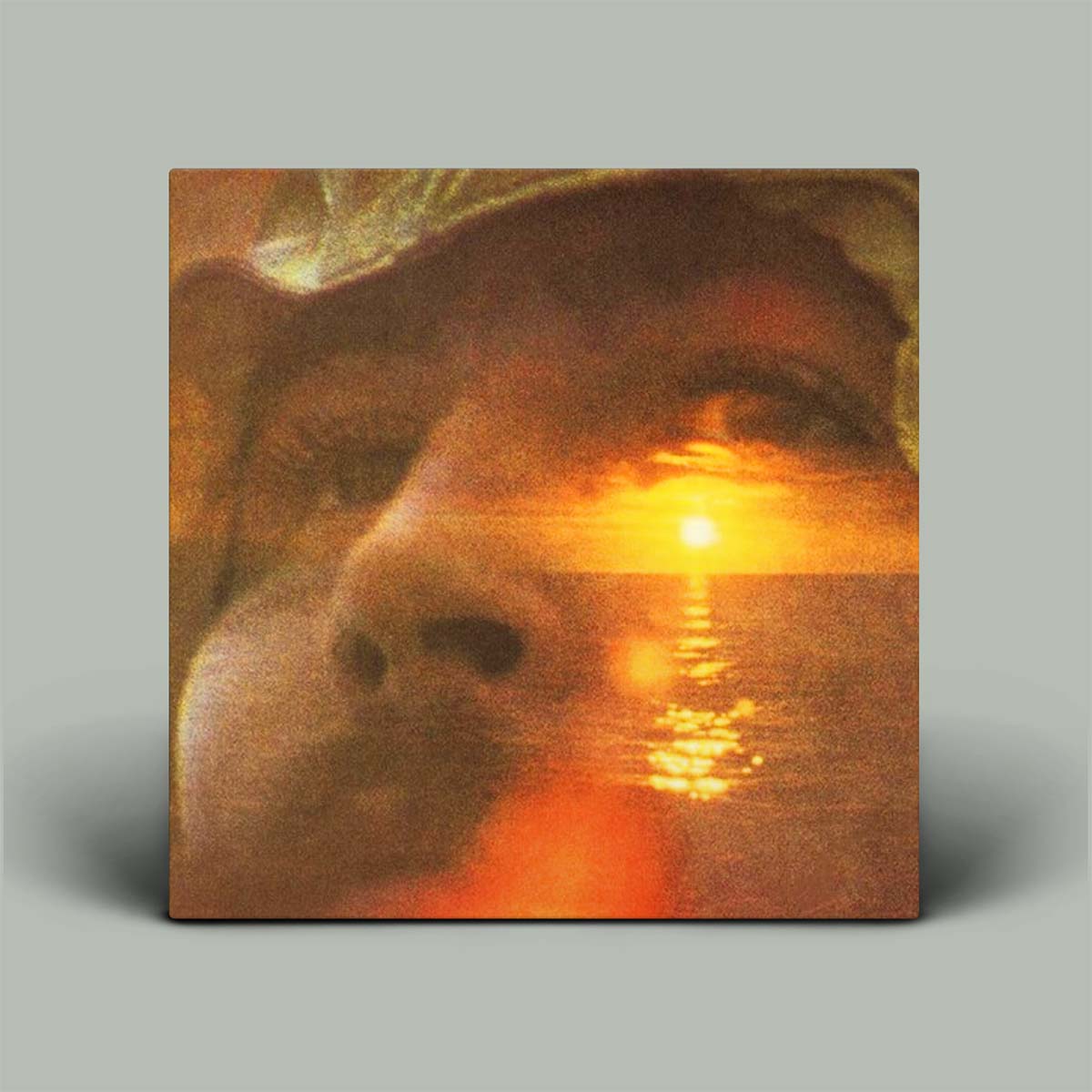 Album cover featuring a double-exposure artistic design of a face merging with an ocean sunset scene, displayed on a neutral gray background.