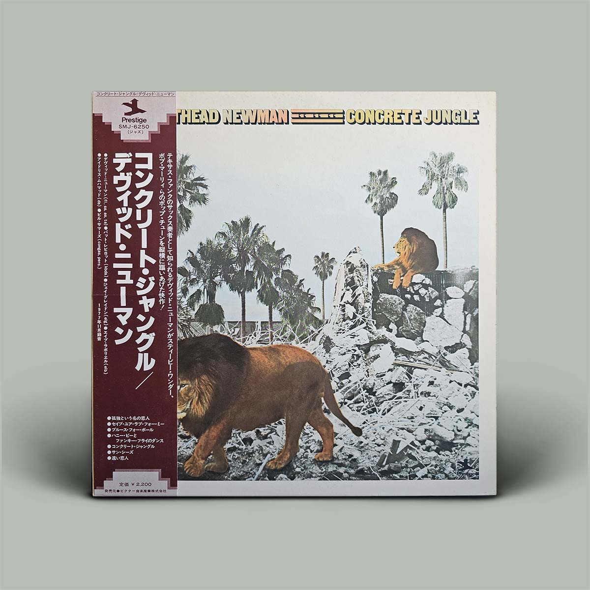 Album cover for 'Concrete Jungle' by Head Newman with a lion and palm trees design.