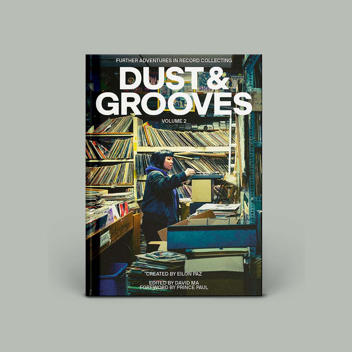 Book cover of 'Dust & Grooves' with a person in a record store.