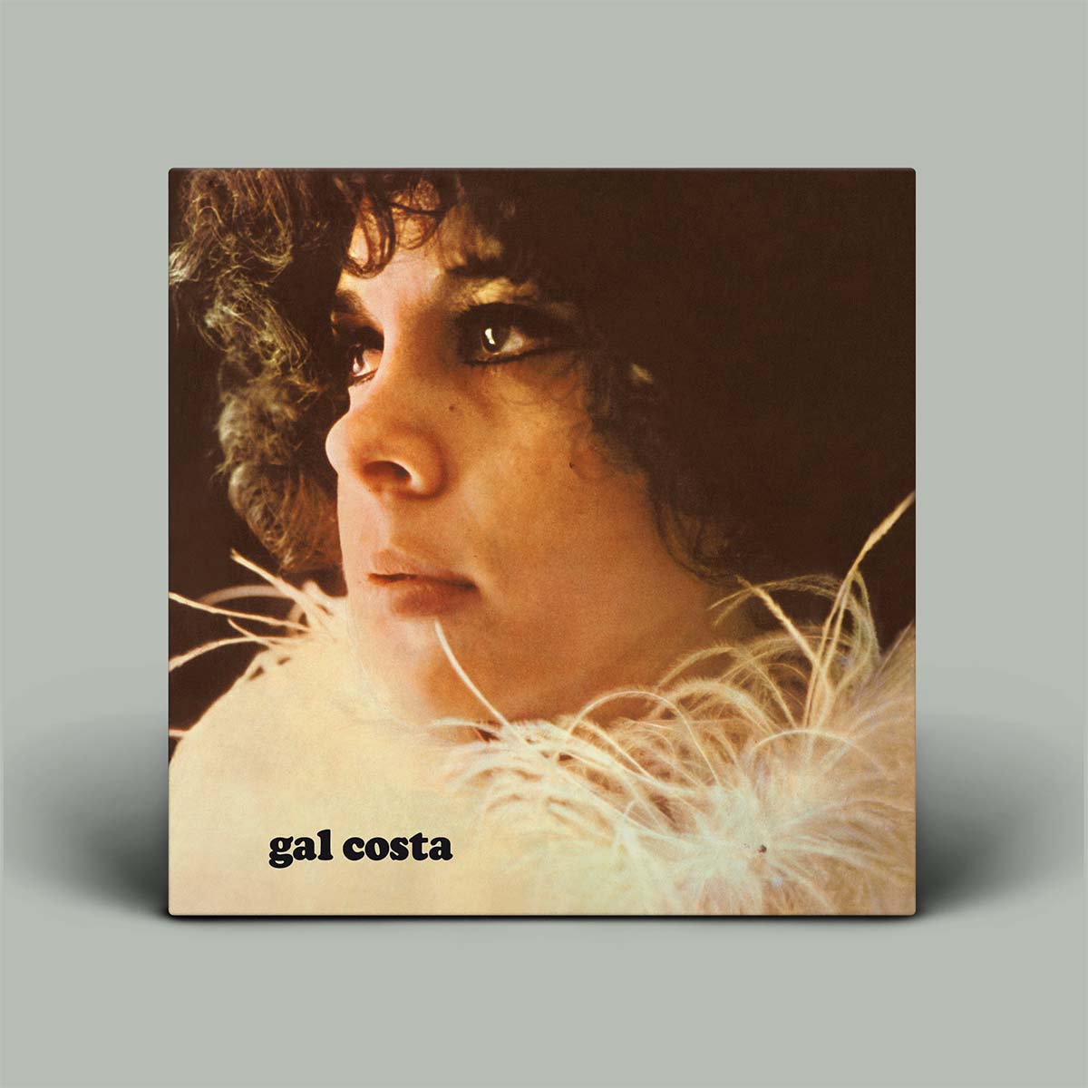 Album cover with a person's face and feathers, featuring the name 'gal costa'.