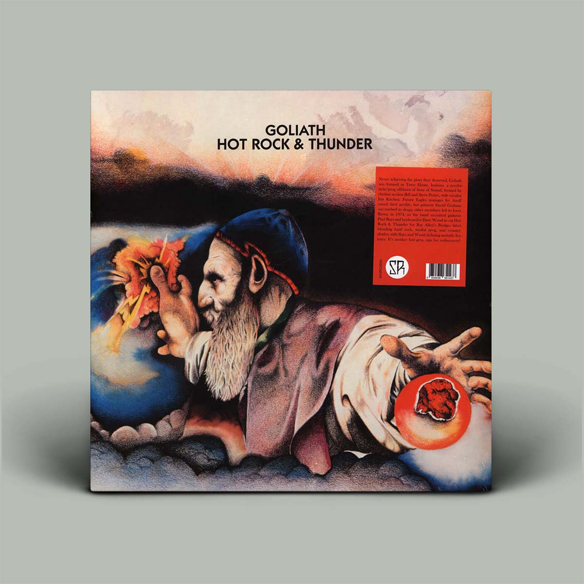 Vinyl album cover with artistic design and text on a gray background