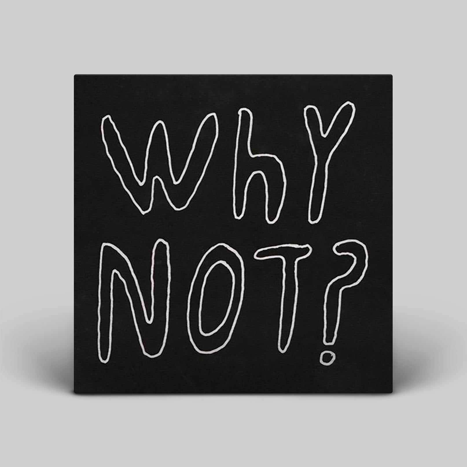 Half Japanese - Why Not? ‎| Vinyl LP