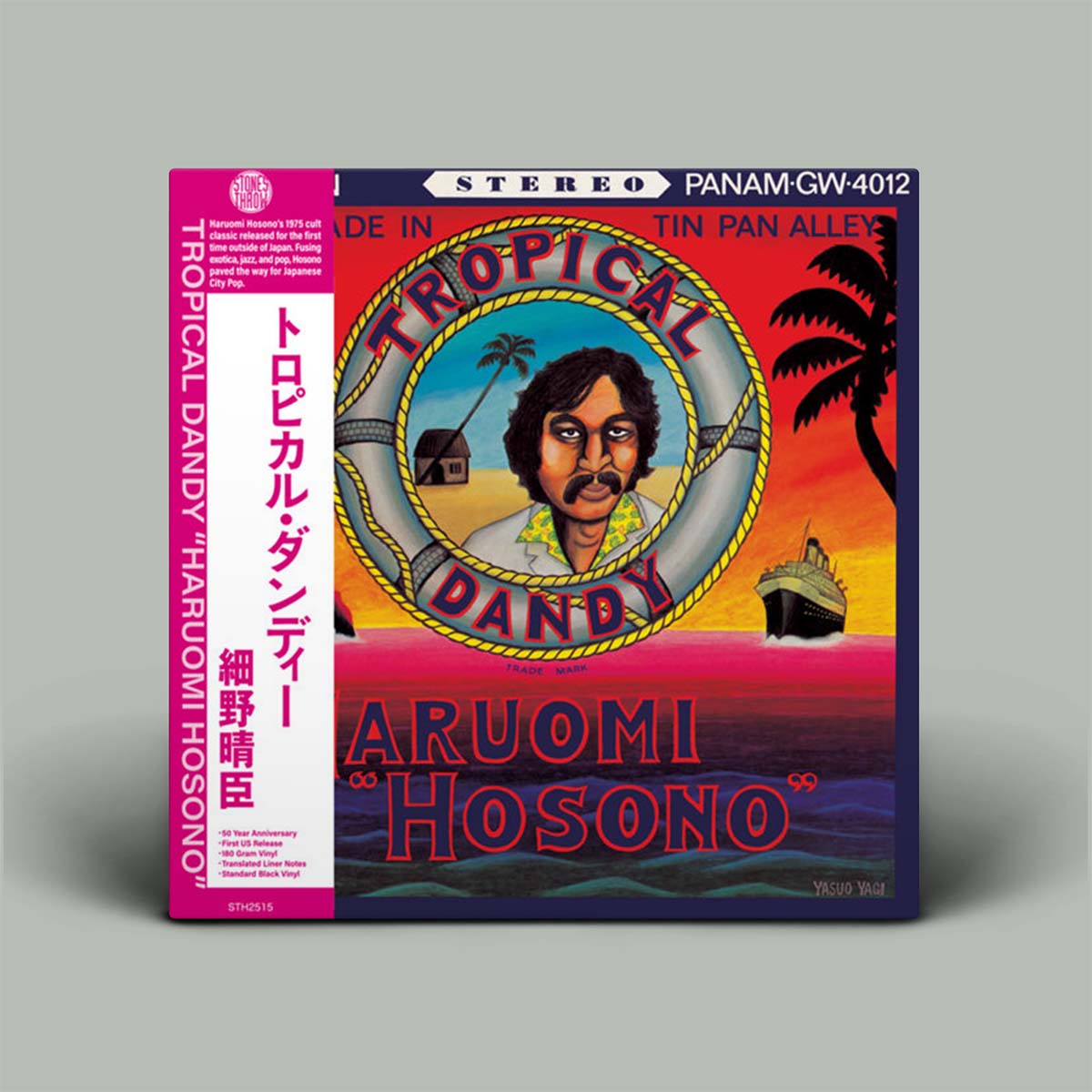 Vinyl record cover with colorful design featuring a person, palm trees, and text on a gray background