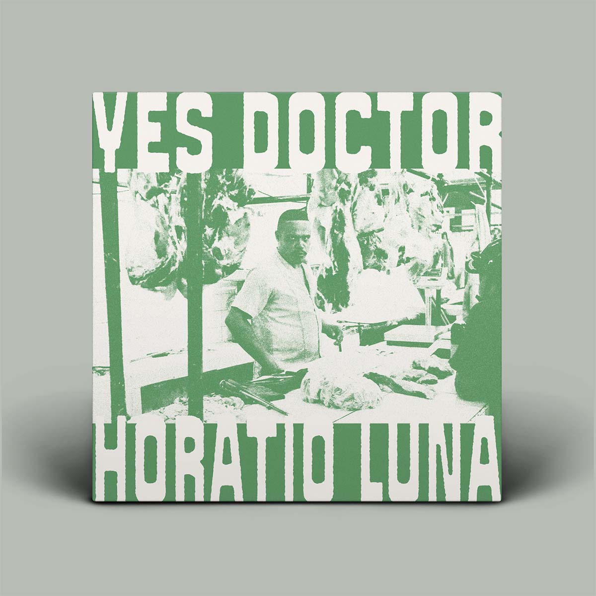 Album cover with text 'YES DOCTOR' and 'Horatio Luna' on a gray background