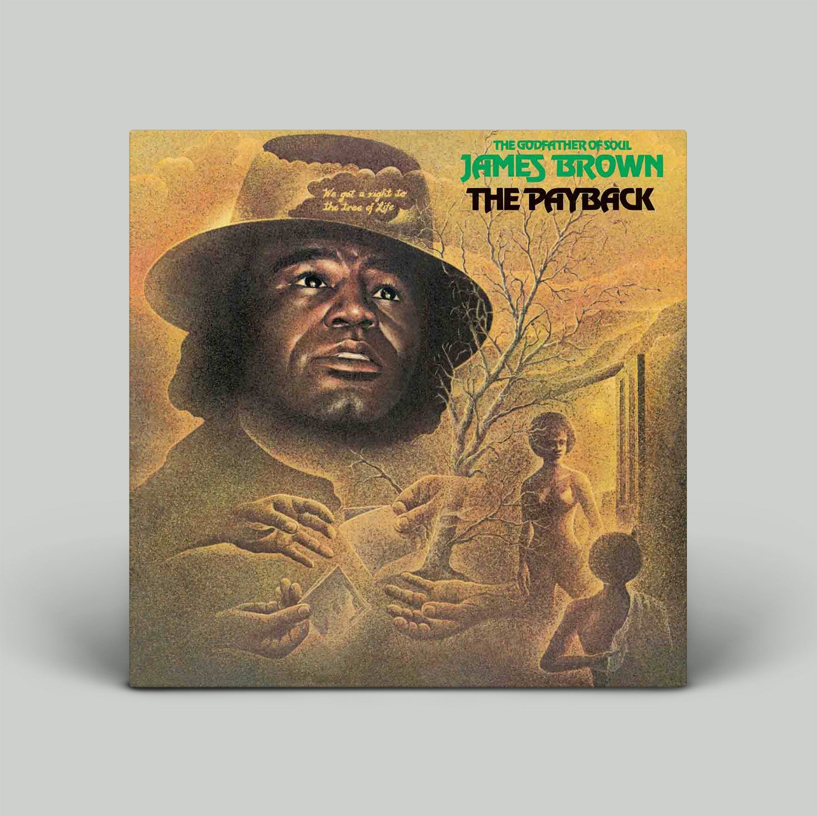 Album cover of 'The Payback' by James Brown with a stylized portrait and text.