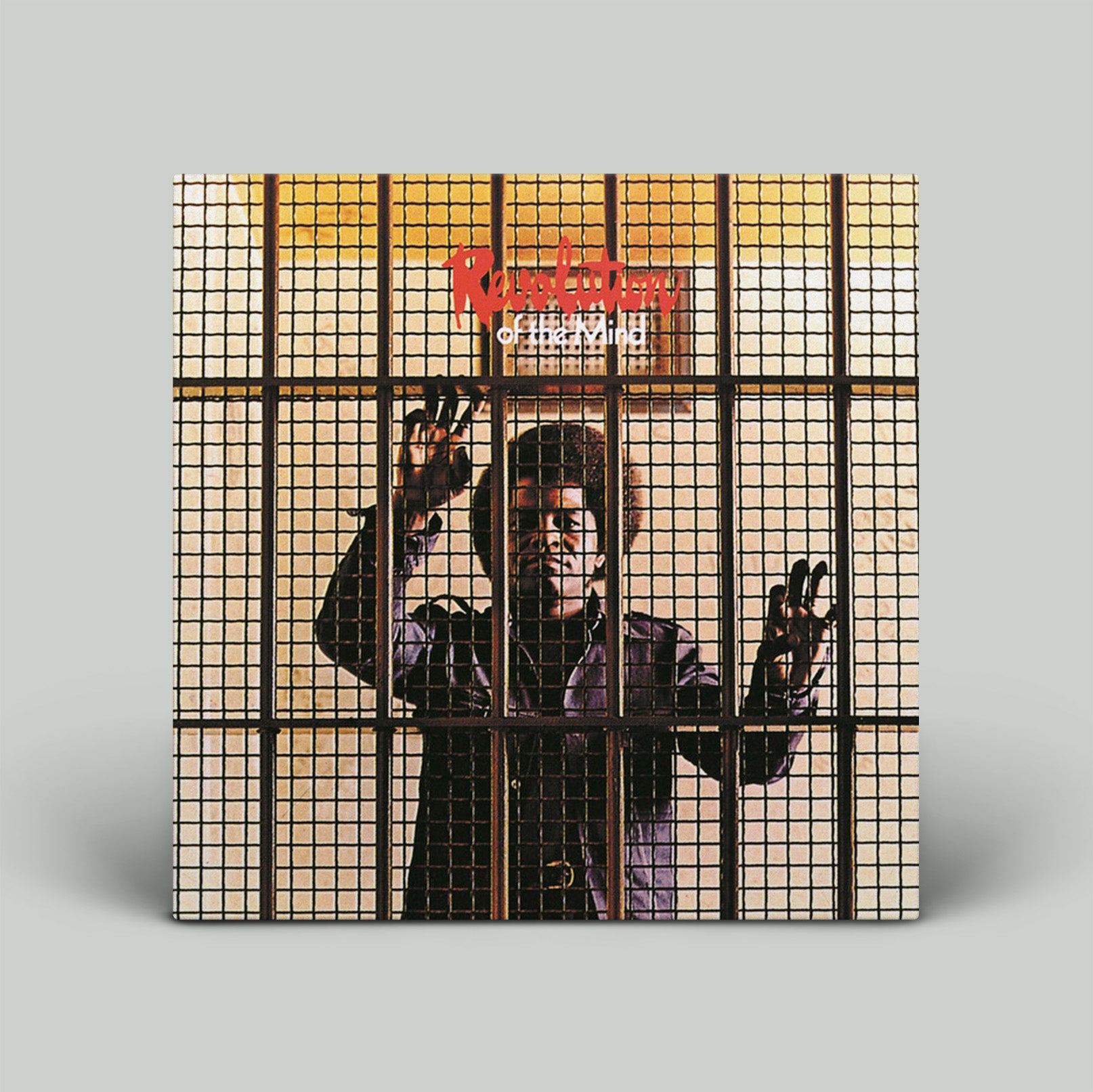 Album cover with a person behind bars and 'Rumours' album text.