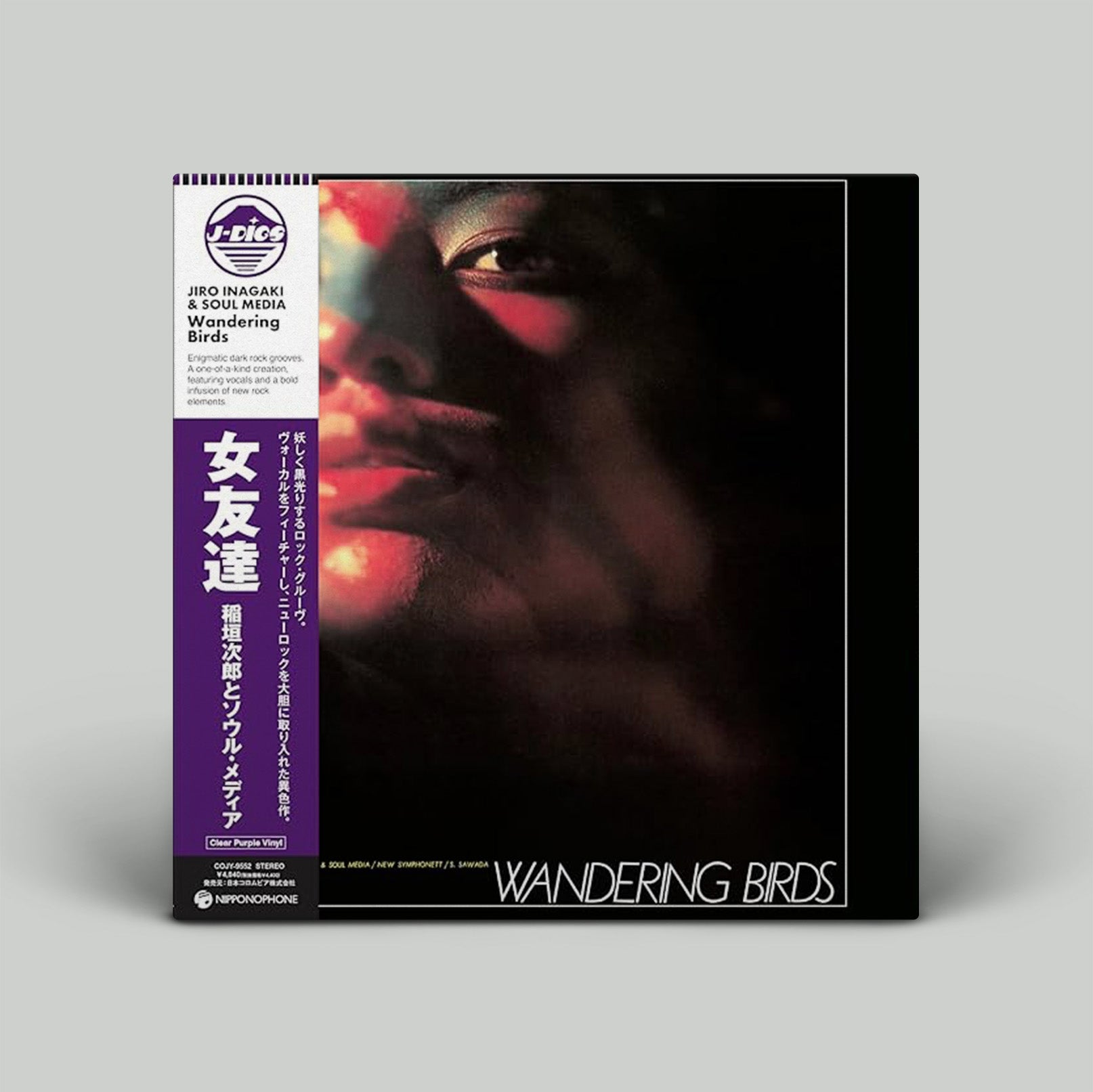 Album cover featuring womans face and the words Wandering Birds.