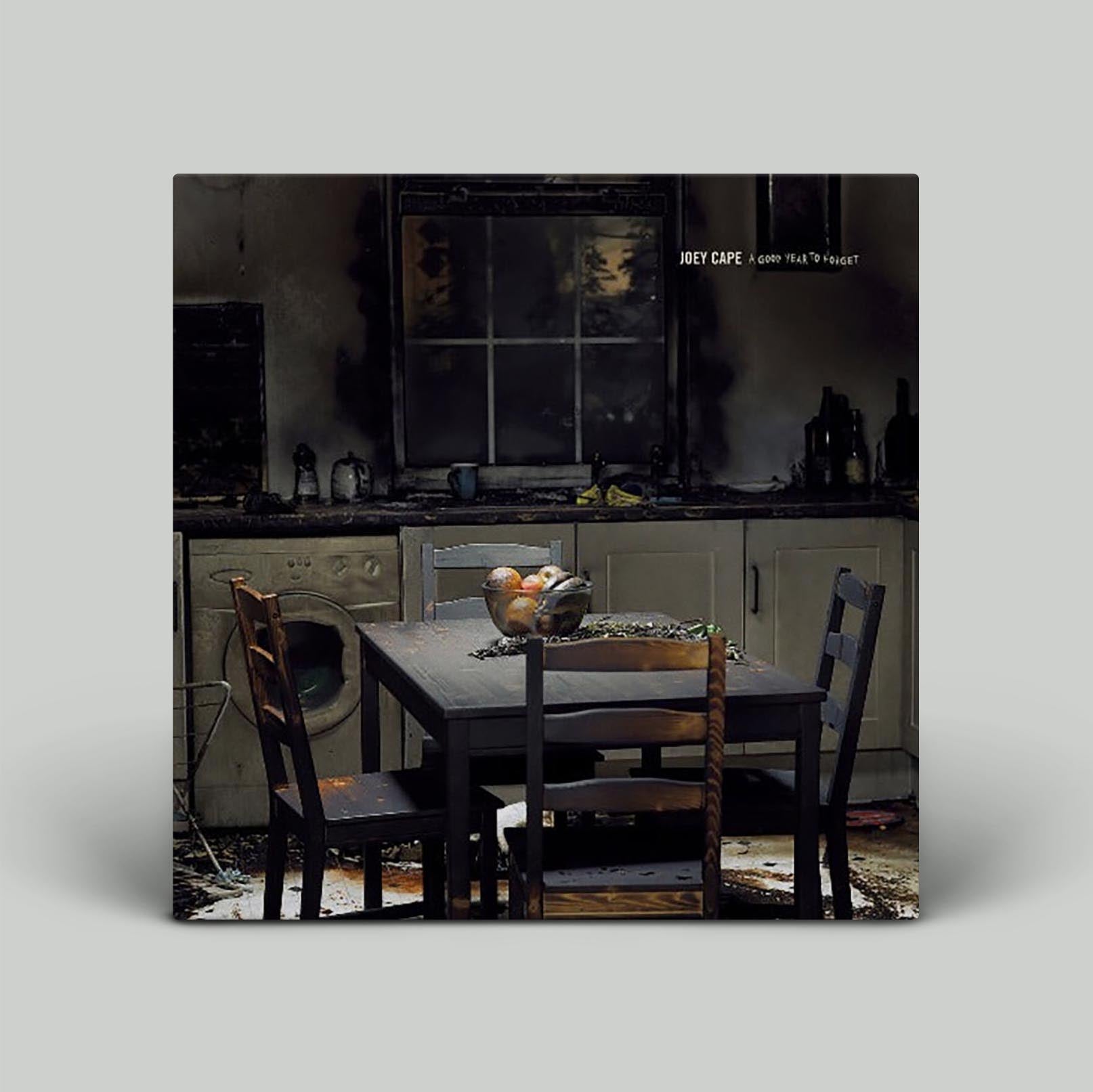 Joey Cape - A Good Year To Forget | Vinyl LP 