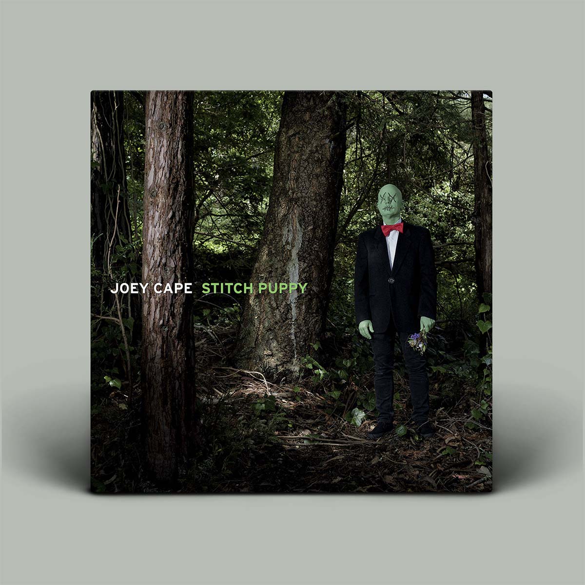 Album cover with a person in a suit and green mask standing in a forest, featuring the text 'Joey Cape Stitch Puppy'.