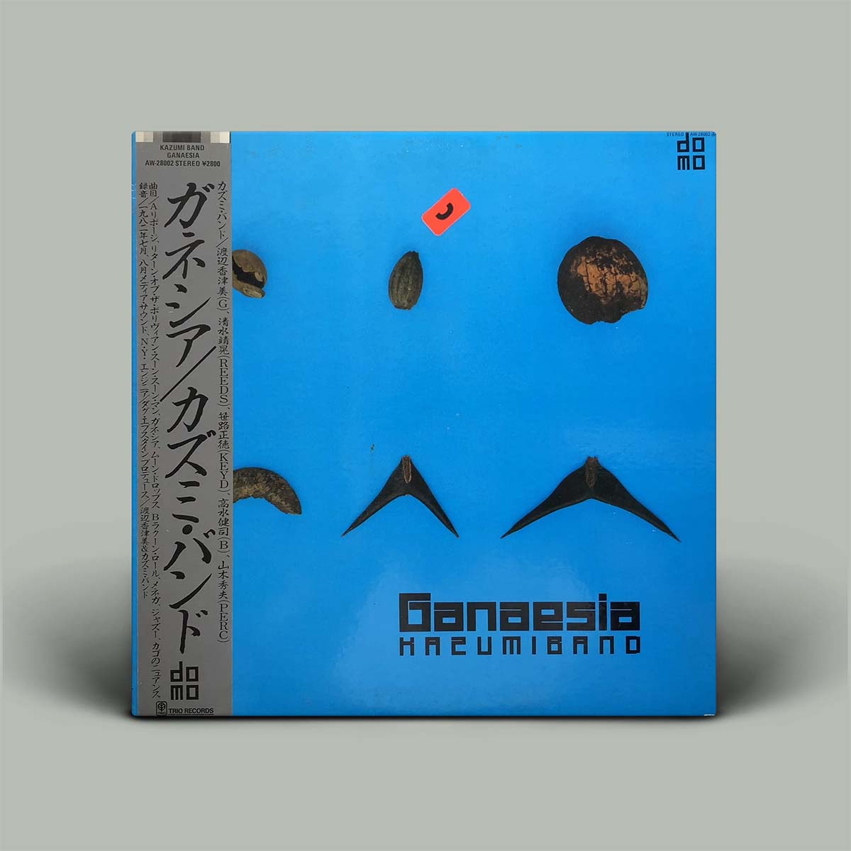 A square vinyl record sleeve for Ganaesia Haeumigando, featuring a bright blue cover with black abstract shapes and Japanese text on the spine, photographed against a neutral gray background.