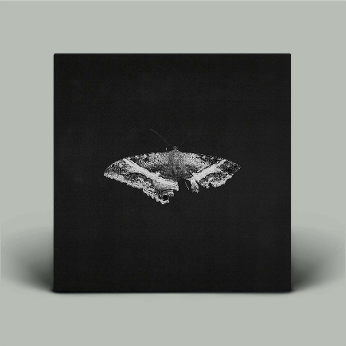 Kendrick Lamar - To Pimp A Butterfly | Vinyl 2LP