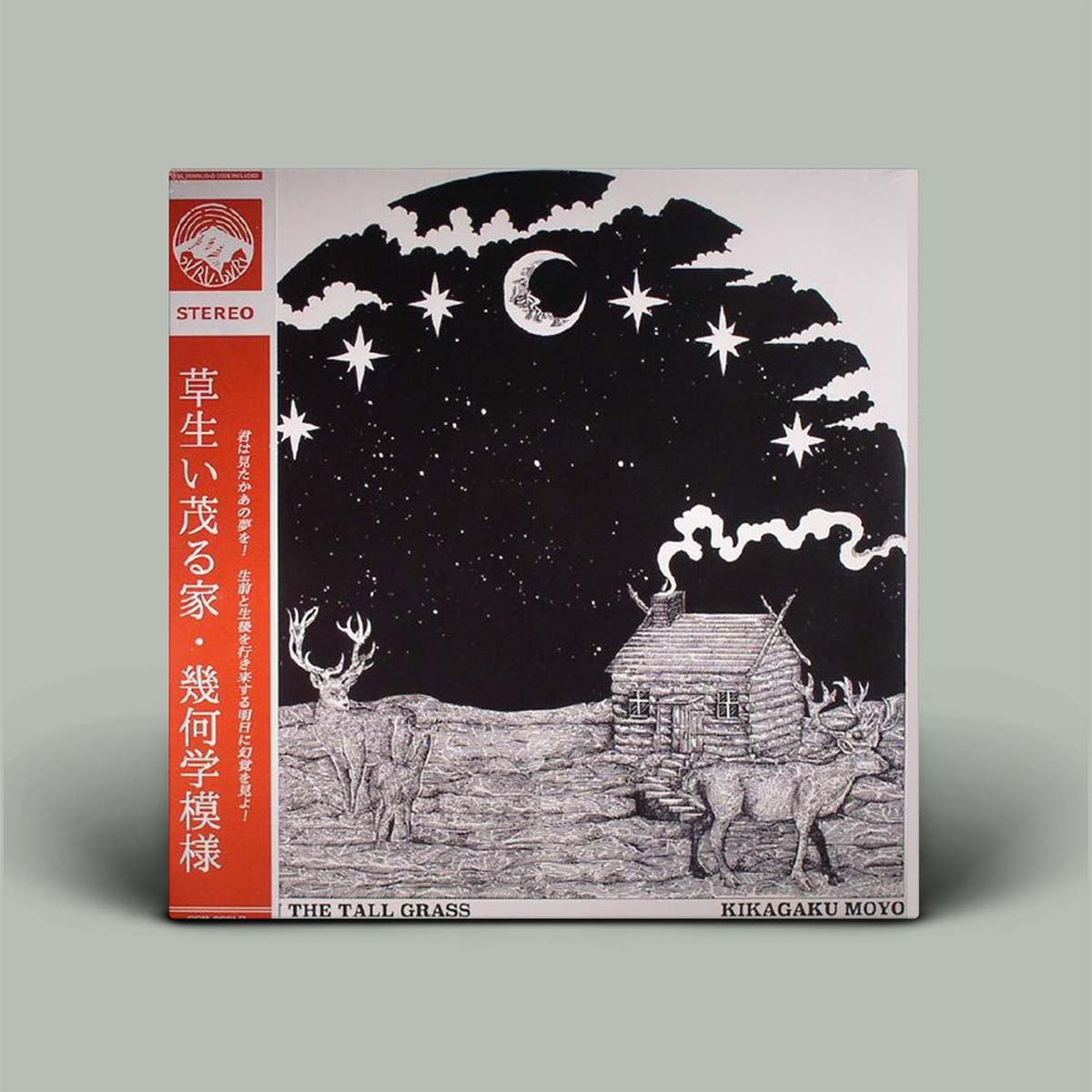 幾何学模様 / 草生い茂る家レコードLP